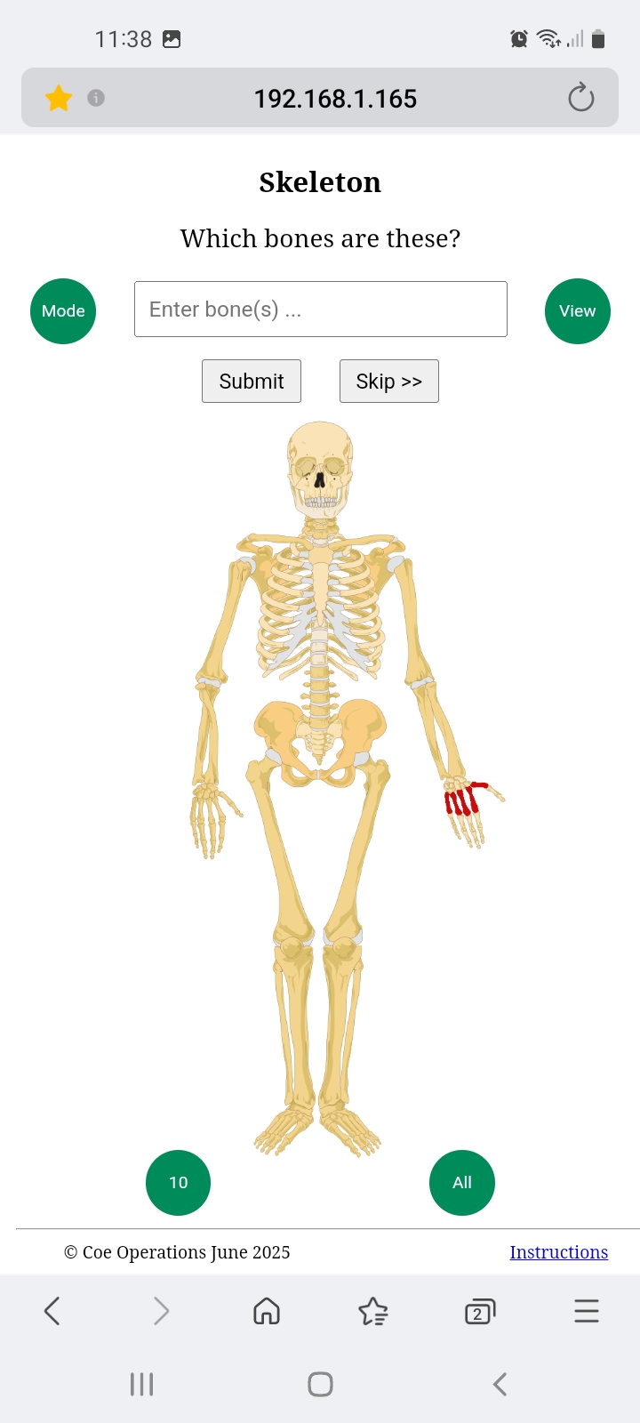 Clavicle